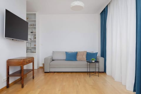 Bright living room with sofa, TV, and natural daylight.
