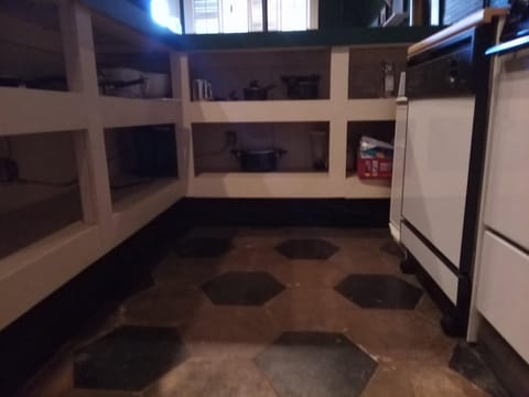 Kitchen stove, dishwasher, and shelves