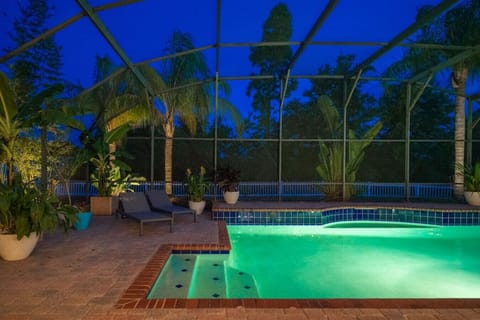 Tropical pool at night.