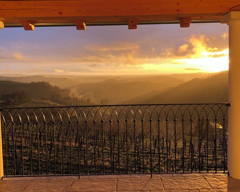 the view from a room