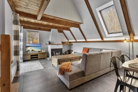Living room (wood-burning fireplace)