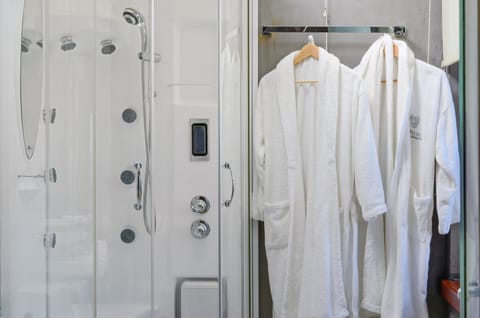 Executive Suite, Fireplace, Mountain View | Bathroom shower