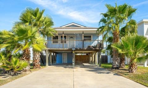 Front Exterior — Raised Cottage with Palm Trees & Covered Parking