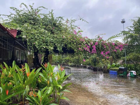 Romantic Bungalow | Property grounds