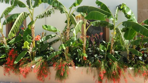 Standard Room | Garden view