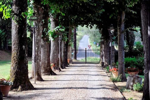 Shrub, Walkway, Garden, Trunk, Driveway, Trail, Sidewalk, Shade, Landscaping, Flagstone