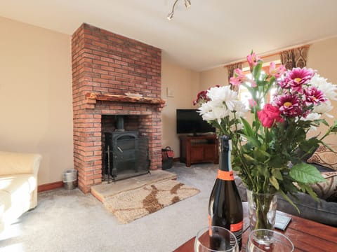 Cottage | Living area | Fireplace