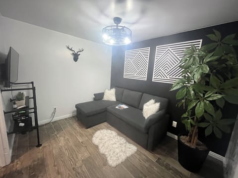Living Room has Sofa Sleeper, TV, Charging Port, Games, and Fan built into Light