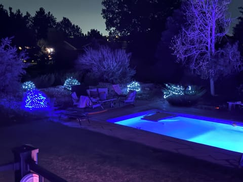 Back Yard Pool area