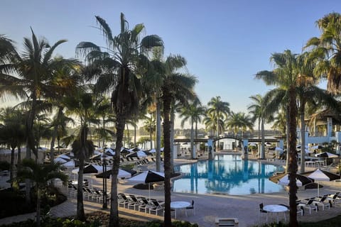 Unwind poolside with palm shade and spacious loungers.