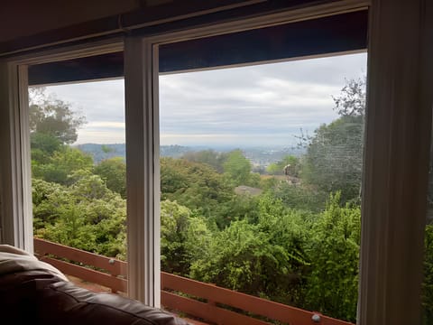 Tree-top views that make you pause and exhale.