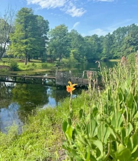 Beautiful private (4 owners) stocked pond