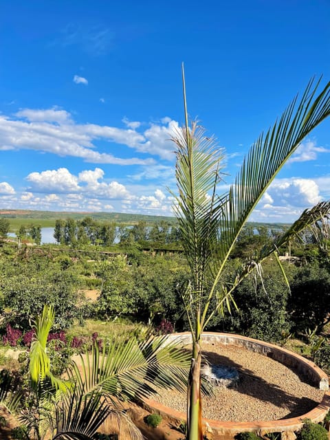 Standard Double Room, Balcony, Lake View | View from room