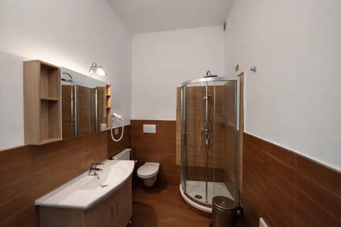 Double Room | Bathroom | Shower, hair dryer, towels, toilet paper