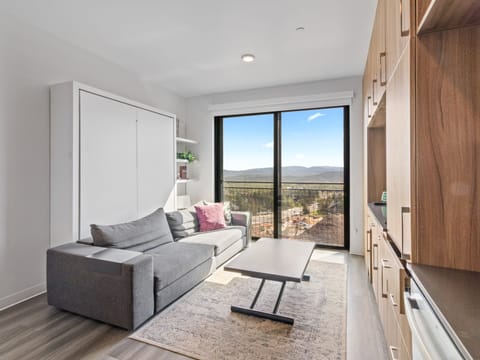 Living Area / Queen Murphy Bed