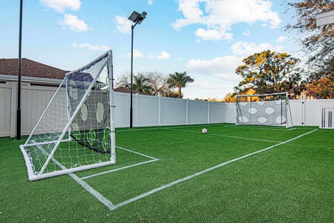 Backyard Soccer Haven: Score goals and make memories on your private turf field!