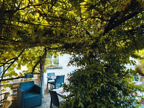 Lunch served, French cuisine