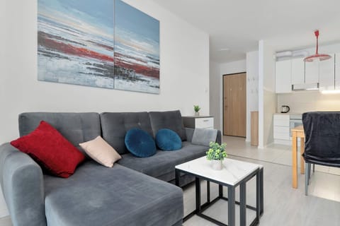 Bright living room with a modern sofa, colorful cushions, and a stylish coffee table.