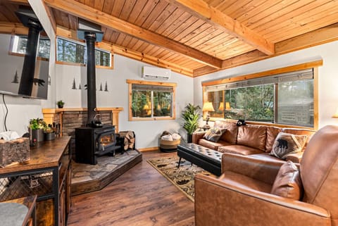 Living Room - Curl up with a blanket by the crackling wood-burning stove as you warm up from a day of exploring Mt. Rainier! The mini-split AC/Heat unit keeps you comfortable year-round!