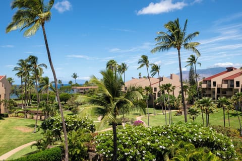 View from the lanai