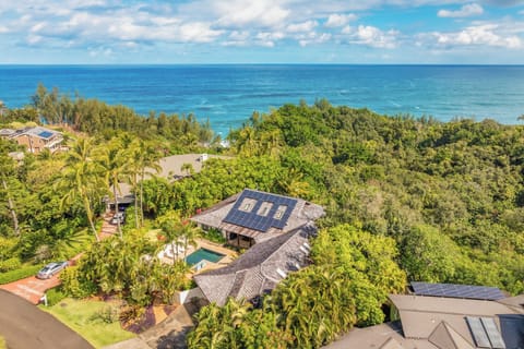 Aerial view of Kapiolani Ocean Villa