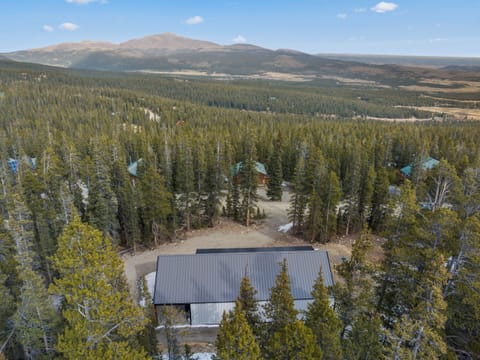 Centrally situated less than 8 miles from both Fairplay and Alma, this beautiful home sits on a high alpine, 1 acre lot with beautiful Woodland views in every direction.