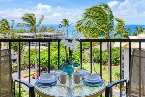 Lanai view.