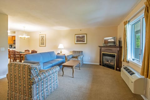 Living area with fireplace and sleeper sofa