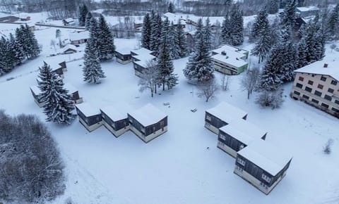 Aerial view of Résidence Les Monts Jura, where cozy lodges are blanketed in soft snow amidst tall evergreen trees.