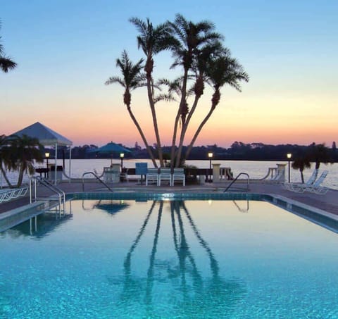 1 of 2 Olympic Sized Pools 