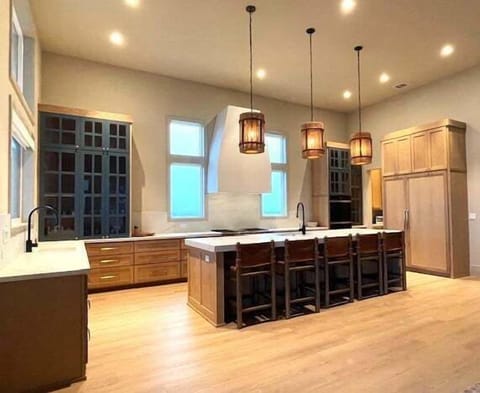 Gourmet kitchen with two dishwashers