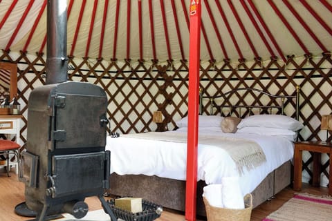 Tent, Courtyard View