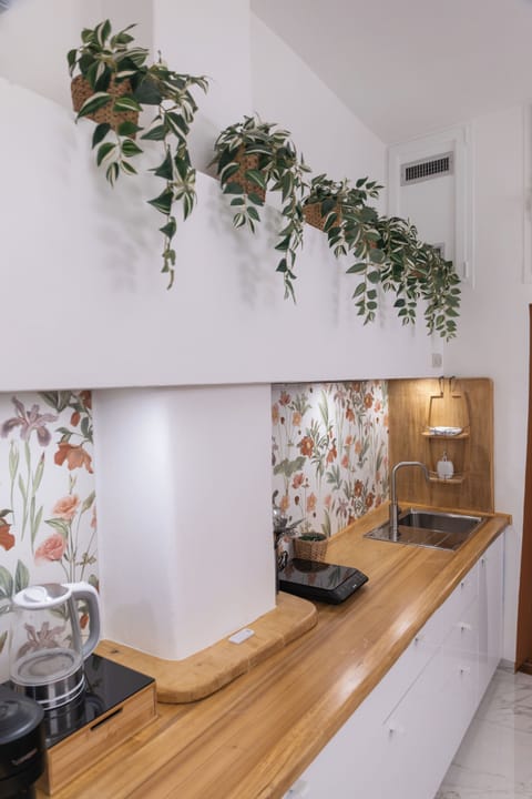 Comfort Apartment, 2 Bedrooms, Non Smoking, Kitchen | Private kitchen | Fridge, microwave, stovetop, espresso maker