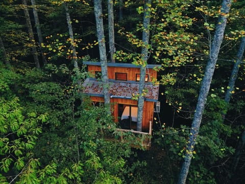 Enjoy a night in the treetops