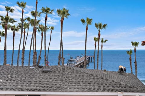 New listing from hosts with 4.99 star cumulative rating!  The view is full of palm trees and a vast horizon. Gentle ocean breezes and the sounds of waves will remind you just how close you are to the pier and the beach.