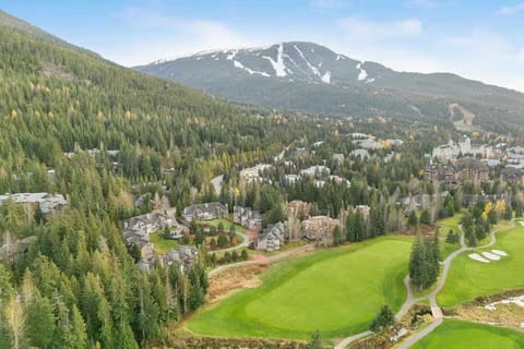 Blackcomb Greens