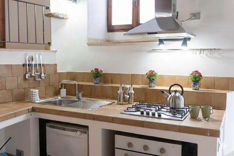 Apartment, Patio | Private kitchen