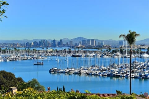 Marina