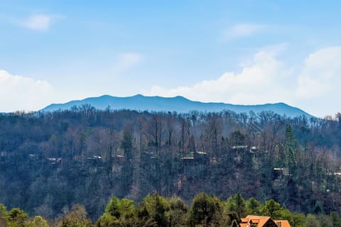 Mountain view cabin in Pigeon Forge