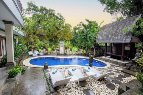 Outdoor pool, sun loungers