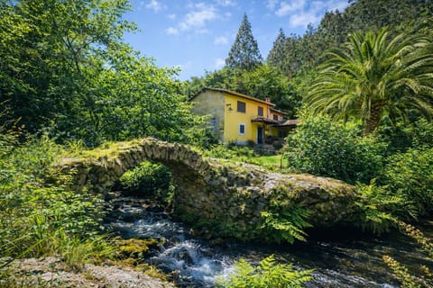 Property building,BBQ facilities,Garden,Balcony/Terrace,River view