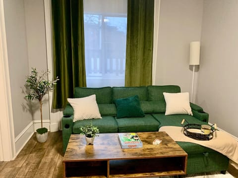 Cozy living room with full sofa bed