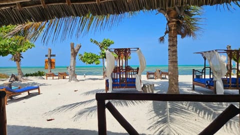 On the beach, white sand, beach bar