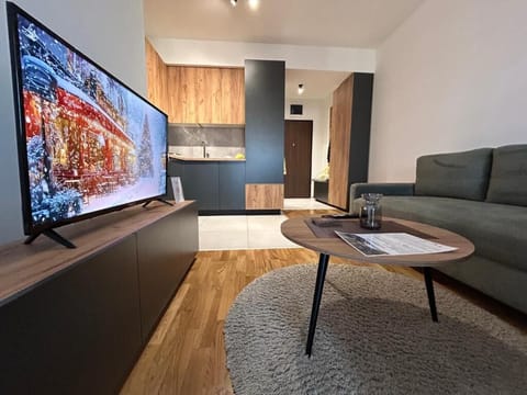 Apartment, Smoking | Living area