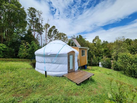 Charming yurt exterior set on a grassy lawn, surrounded by open skies.