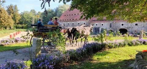 carriage tours