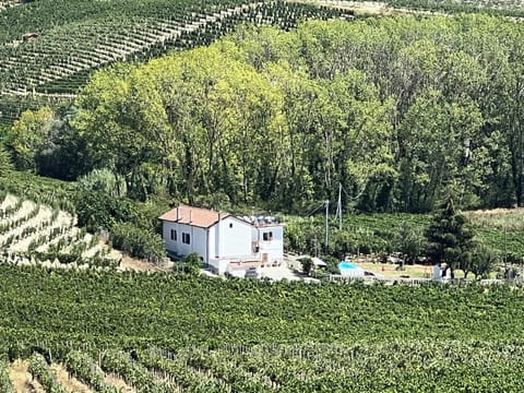The house and garden set in the vineyards