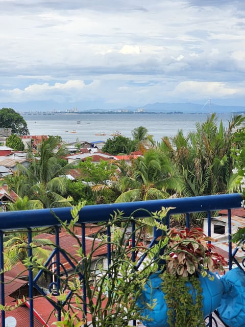 Beach/ocean view