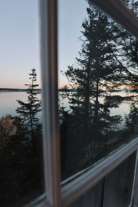 view from kitchen window