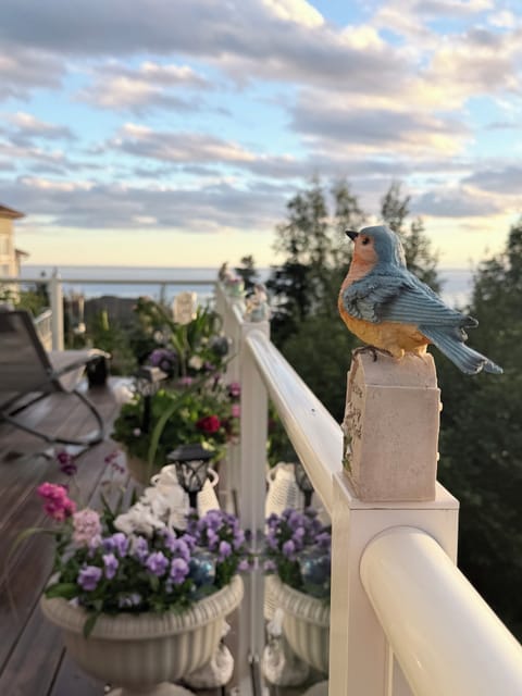 Summer sunset 